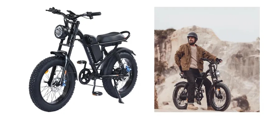 ELECTRIC BICYCLE 电动自行车